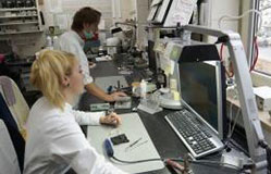 Zahnlabor Praxislabor Berg am Laim Trudering Zahnarzt München Zahnlabor Praxislabor Berg am Laim Trudering Zahnarzt München